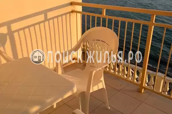 «Место под солнцем» «Место под солнцем»