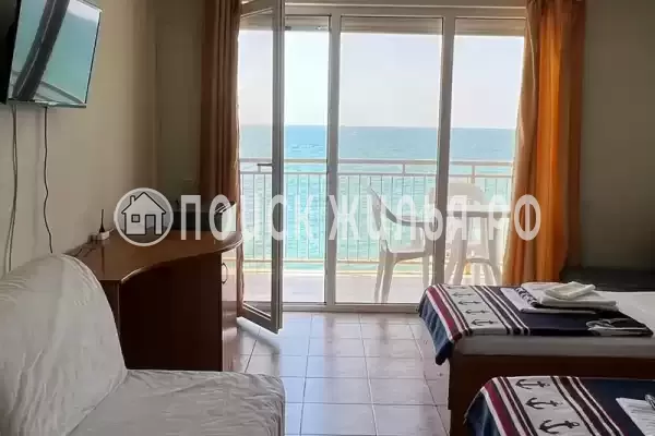 «Место под солнцем» «Место под солнцем»