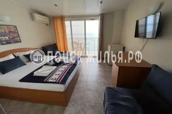 «Место под солнцем» «Место под солнцем»