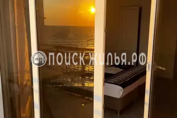 «Место под солнцем» «Место под солнцем»