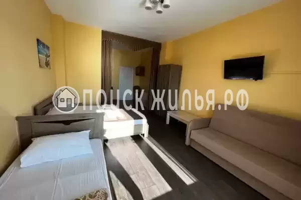 «Место под солнцем» «Место под солнцем»