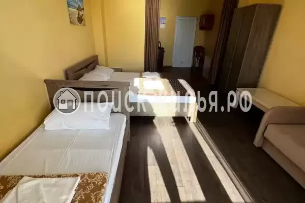 «Место под солнцем» «Место под солнцем»