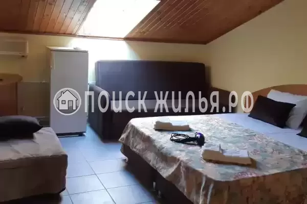 «Место под солнцем» «Место под солнцем»