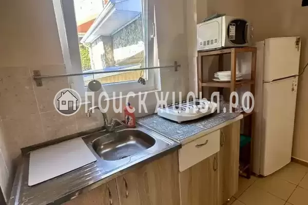 «Зеленый мир» «Зеленый мир»