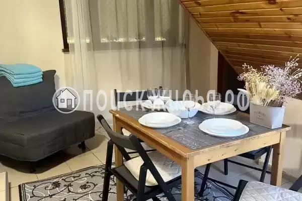 «Зеленый мир» «Зеленый мир»