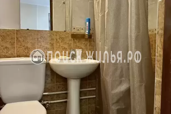 «Зеленый мир» «Зеленый мир»