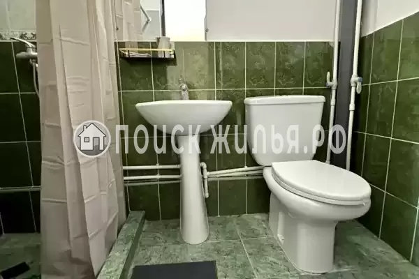 «Зеленый мир» «Зеленый мир»