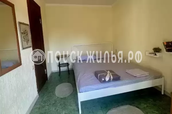 «Зеленый мир» «Зеленый мир»