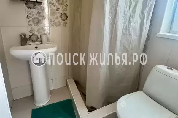 «Зеленый мир» «Зеленый мир»