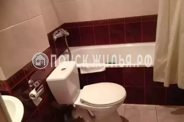 «Белый фрегат»