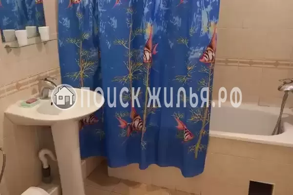 «Белый фрегат»