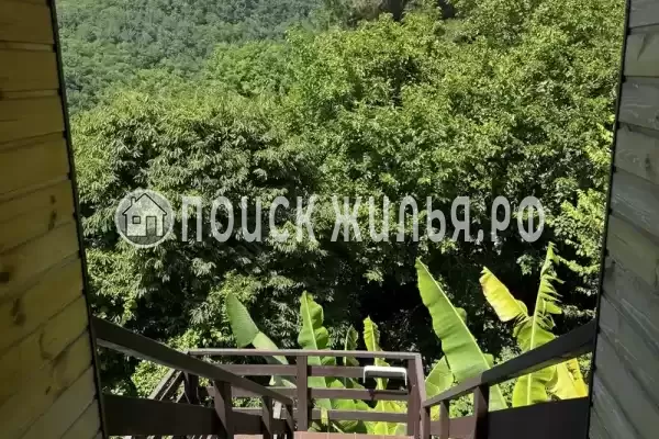 «Дом» «Дом»