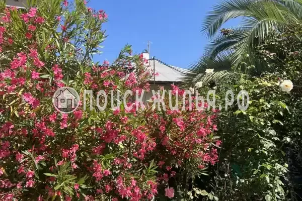 Гостевой дом «Ксава» Гостевой дом «Ксава»