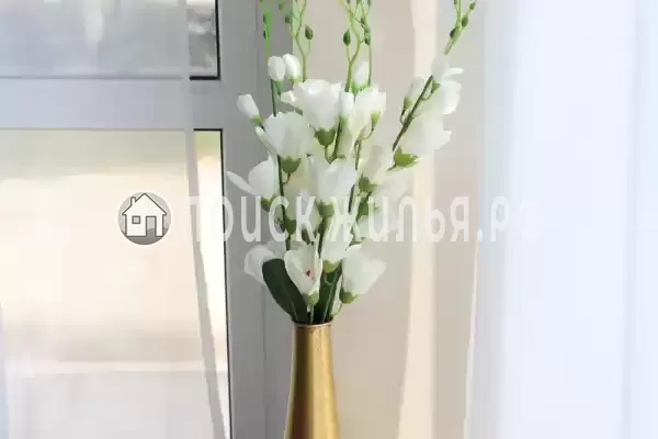 Частный сектор «Вилла Абхазия» Частный сектор «Вилла Абхазия»