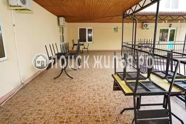 «Золотая лилия» «Золотая лилия»