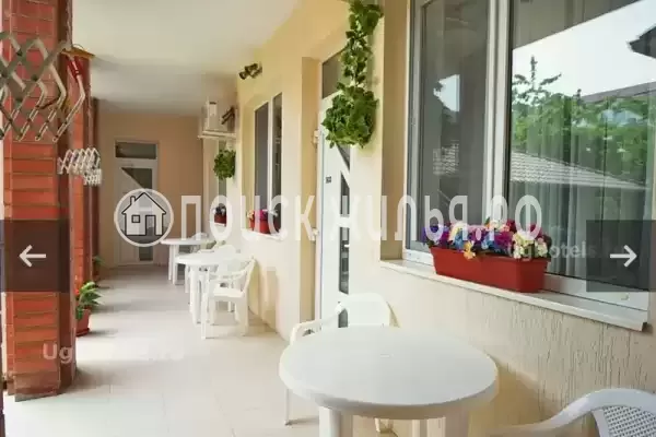 «Золотая Антилопа» «Золотая Антилопа»