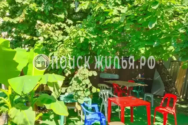 «Алла-Роза» «Алла-Роза»