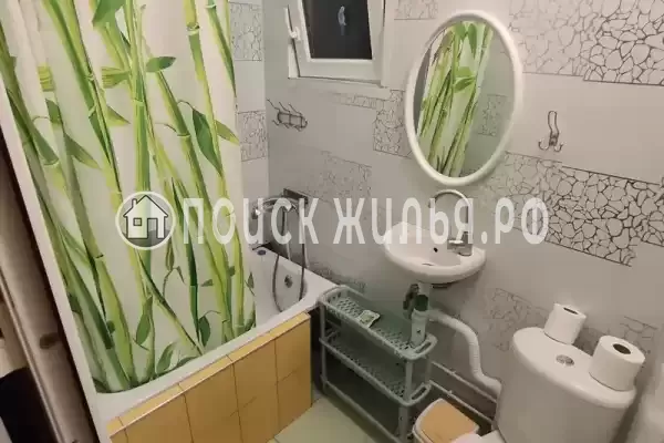 «Алла-Роза» «Алла-Роза»