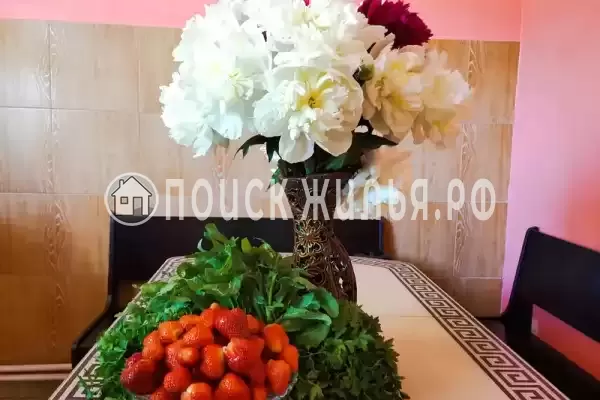 «Алла-Роза» «Алла-Роза»