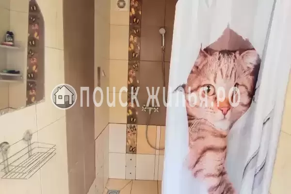 «Алла-Роза» «Алла-Роза»