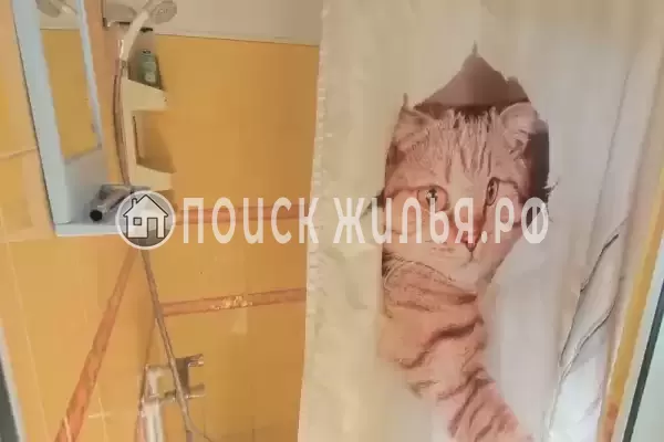 «Алла-Роза» «Алла-Роза»