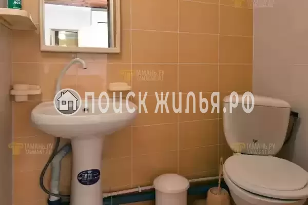 «Лебеди» «Лебеди»