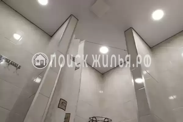 «Два дельфина»