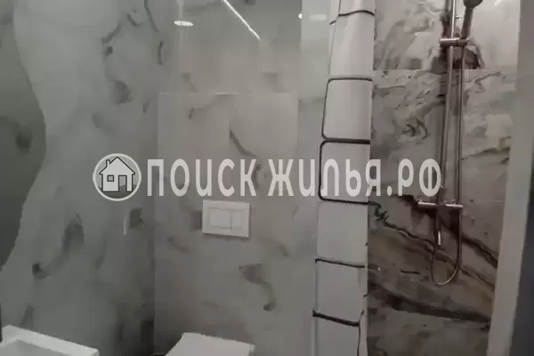 «Два дельфина»