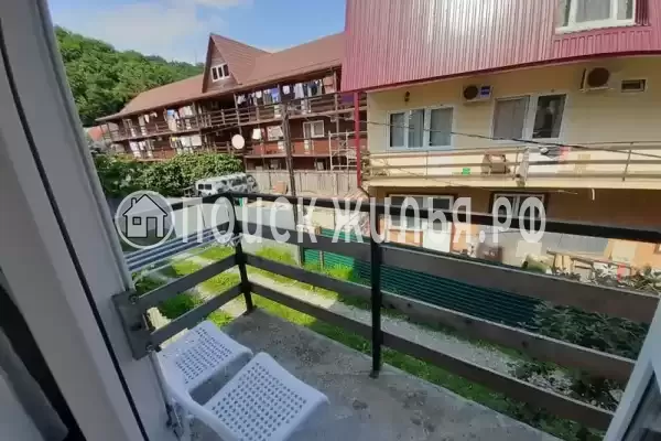 «Два дельфина»