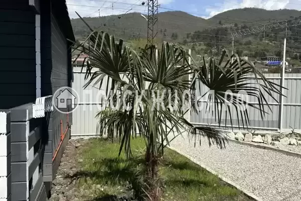 Гостевой дом «Оазис»