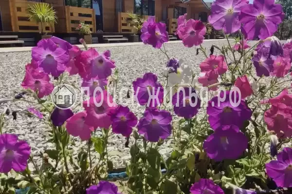 Частный сектор «Частный дом Ариана»