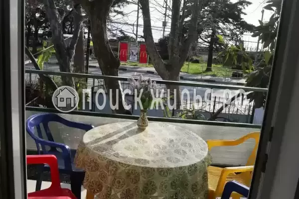 «Белый ирис»