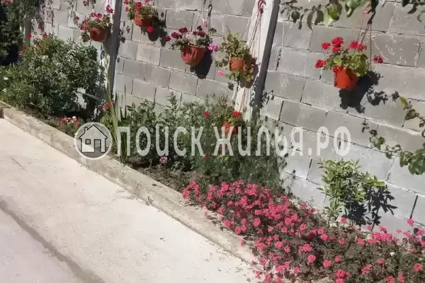 Гостевой дом «Давид»