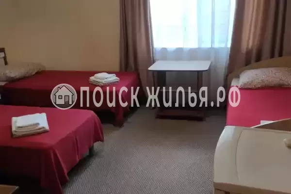 «Альпина» «Альпина»