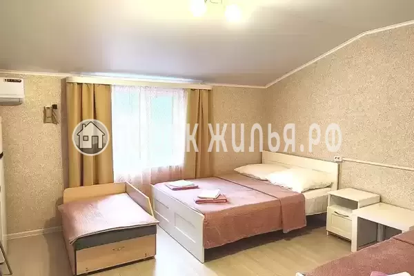 «Виолетта» «Виолетта»