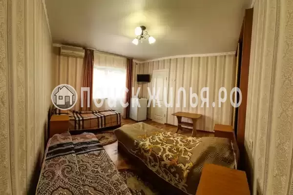 «Елена» «Елена»