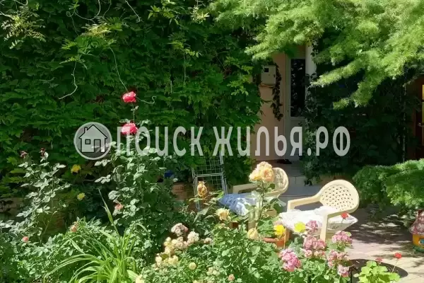 «Добрый» «Добрый»