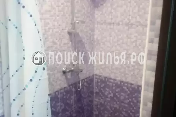 «Stella» «Stella»