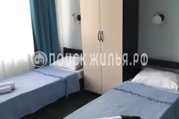 «Stella» «Stella»