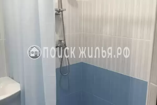 «Stella» «Stella»