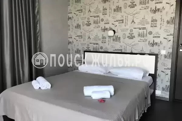 «Stella» «Stella»