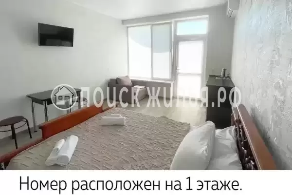 «Stella» «Stella»