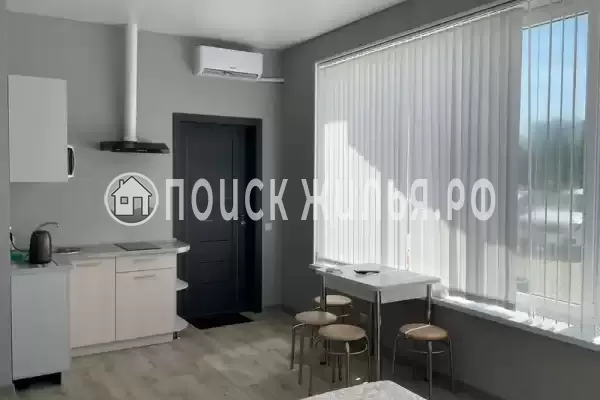 «Stella» «Stella»