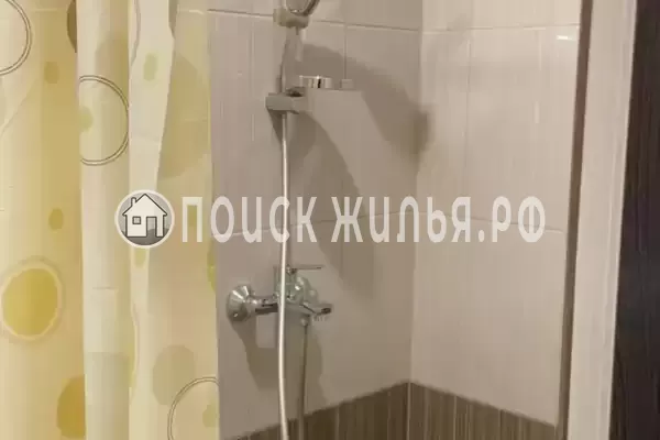 «Stella» «Stella»