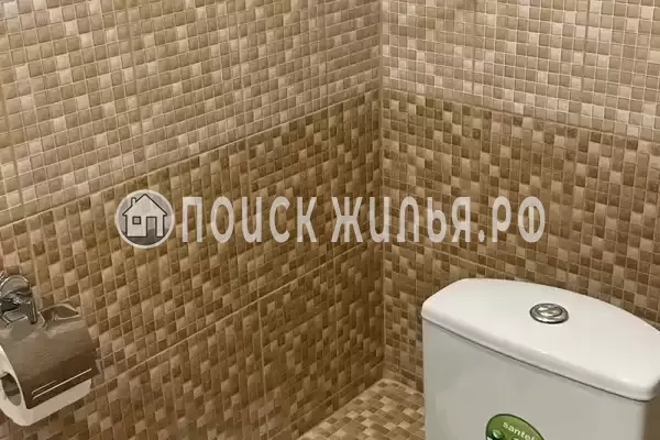 «Stella» «Stella»