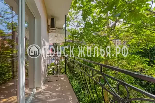 «Дельфин» «Дельфин»