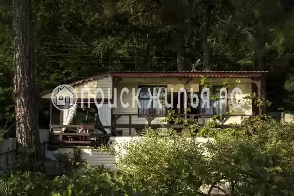 «Сосновый бор»