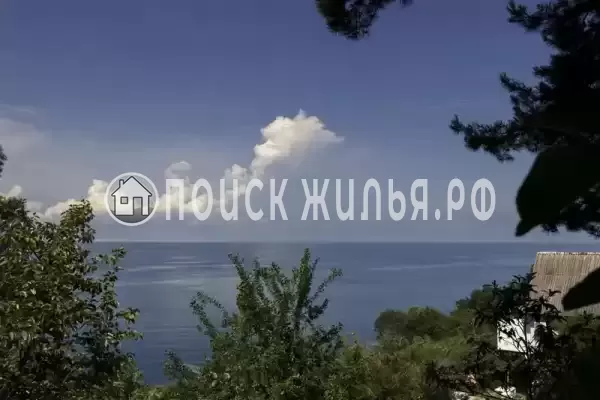 «Сосновый бор»