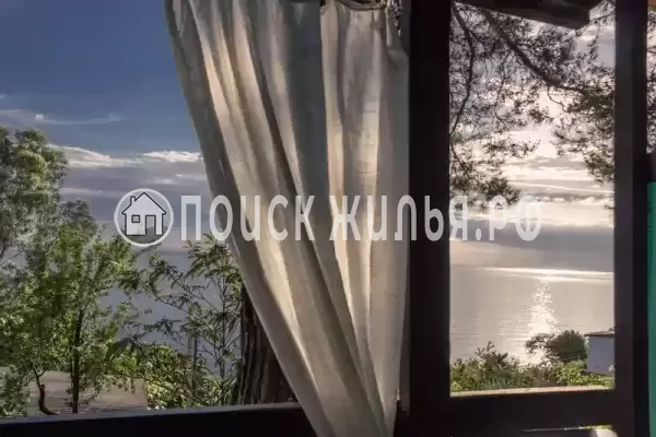 «Сосновый бор»