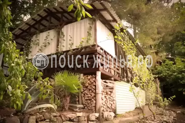 «Сосновый бор»